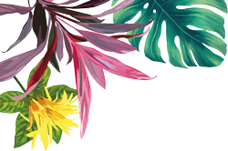 corner flower