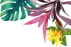 corner flower top right