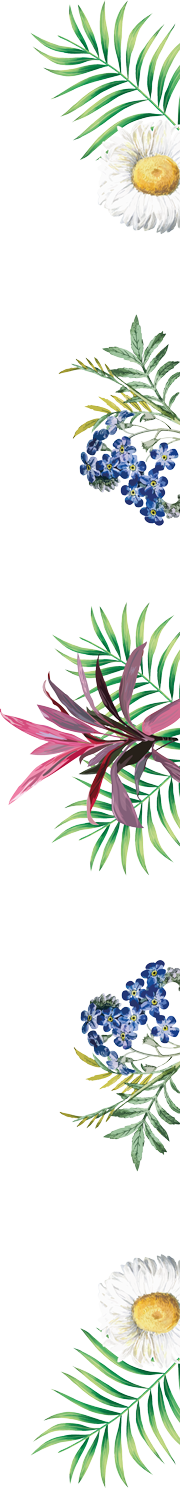 flowers right