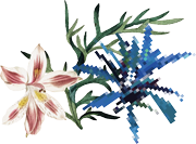 flowers right